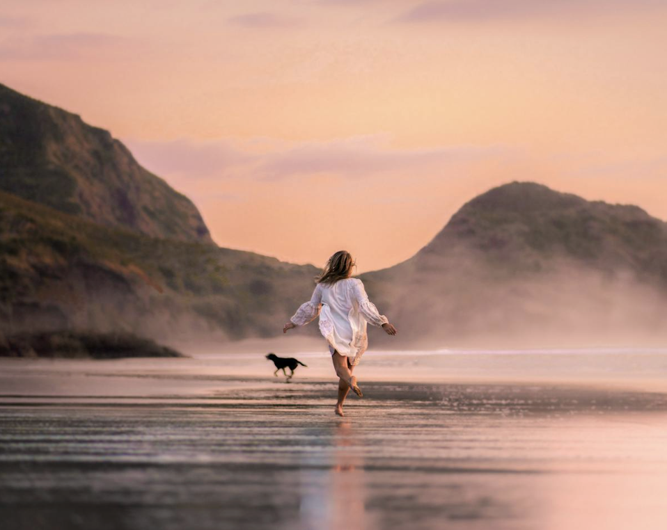 Safety Tips to Tick Off Before Taking Your Pet on Holiday